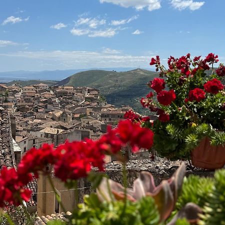 B&B Dhafna Civita Zewnętrze zdjęcie