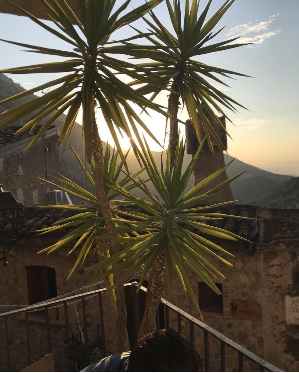 B&B Dhafna Civita Zewnętrze zdjęcie