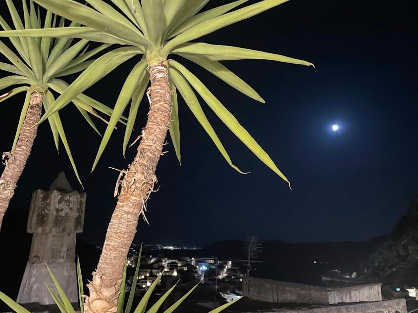 B&B Dhafna Civita Zewnętrze zdjęcie